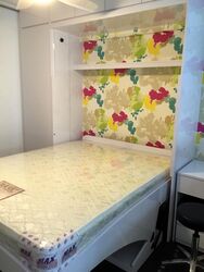 Blk 428 Ang Mo Kio Avenue 3 (Ang Mo Kio), HDB 2 Rooms #400483511